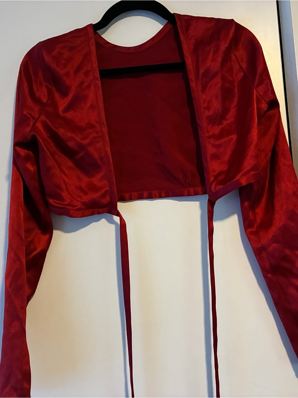 Night Out Crop Top Bundle: Zara Studio Satin & Shein Hot Pink Wrap (Size S / Tal